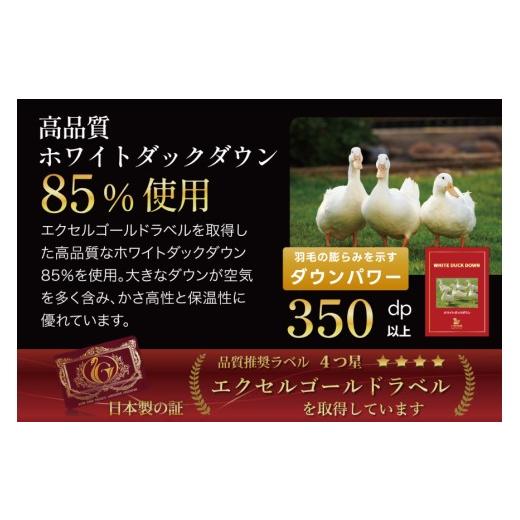 ふるさと納税 西洋手ぬぐい・寝具 掛け布団 山梨県 韮崎市  歳月用 鳥毛布団 シングル 合掛け 中厚 鳥毛 布団 ホワイトダックダウン 85％ 0.8kg (無地 象牙色) 3…