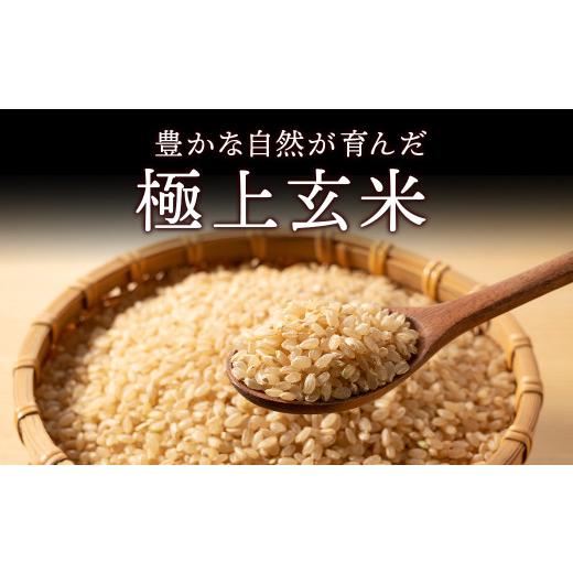 ふるさと納税 玄米 栃木県 塩谷町 令和7年産新米 コシヒカリ玄米30kg