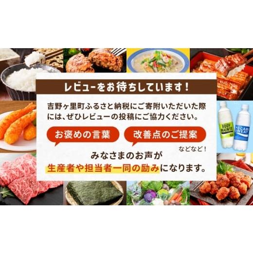 ふるさと納税 エビ・カニ等 エビ 佐賀県 吉野ヶ里町  全6回定期便 おどる 有頭えびフライ「えび姫」10尾（5尾×2P）えびフライ 海老フライ えび 吉野ヶ里町／E…_8