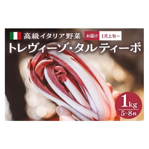 ふるさと納税 野菜類 山形県 河北町 2026年 高級イタリア野菜1kg・レシピ付き トレヴィーゾ・タルティーボ 5〜8株入り 山形県河北町産 かほくらし社 高級 イ…