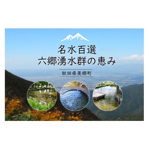 ふるさと納税 炭酸飲料 サイダー 秋田県 美郷町 《定期便3ヶ月》ニテコはちみつサイダー 300ml×24本セット あきた美郷づくりの画像