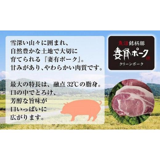 ふるさと納税 新潟県 十日町市 妻有ポーク 豚カレー 甘口 200g 10食 セット 計2kg ポーク レトルト カレー 国産 つまり 豚 ブランド豚 銘柄豚 常温保存 お取り…｜furusatochoice｜04