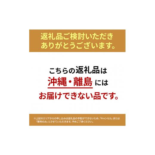 ふるさと納税 兵庫県 加西市 米 【令和5年産新米】 キヌヒカリ 10kg