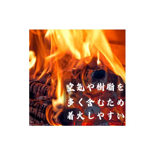 ふるさと納税 アウトドアグッズ 和歌山県 すさみ町  すさみ町産 薪 乾燥桧(ひのき) 約8kg／まき キャンプ 焚火 ストーブ 国産 桧 ひのき ヒノキ アウトドア ふ…の画像