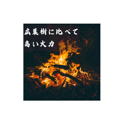 ふるさと納税 アウトドアグッズ 和歌山県 すさみ町  すさみ町産 薪 乾燥桧(ひのき) 約8kg／まき キャンプ 焚火 ストーブ 国産 桧 ひのき ヒノキ アウトドア ふ…の画像
