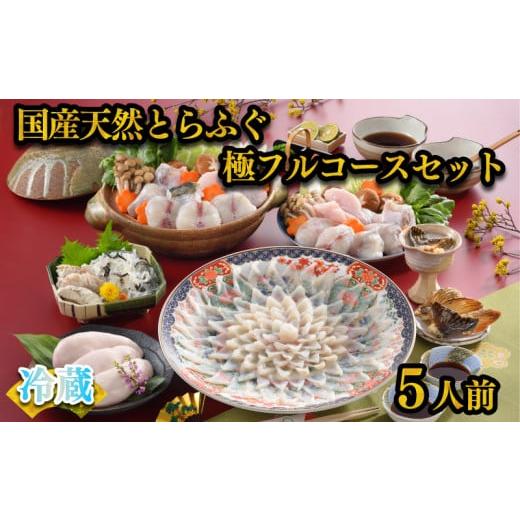ふるさと納税 フグ 山口県 下関市 天然 とらふぐ 極 フルコース 刺身 鍋 白子 セット 5人前 600g 期間 限定 菊盛 身皮 冷蔵 高級魚 切身 あら ふぐ ひれ 酒 用…_1