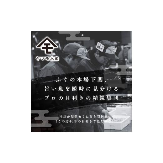 ふるさと納税 フグ 山口県 下関市 天然 とらふぐ 極 フルコース 刺身 鍋 白子 セット 5人前 600g 期間 限定 菊盛 身皮 冷蔵 高級魚 切身 あら ふぐ ひれ 酒 用…_2