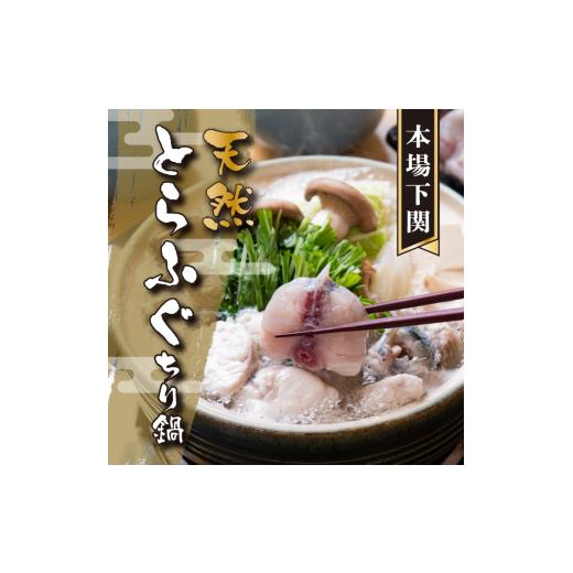 ふるさと納税 フグ 山口県 下関市 天然 とらふぐ 極 フルコース 刺身 鍋 白子 セット 5人前 600g 期間 限定 菊盛 身皮 冷蔵 高級魚 切身 あら ふぐ ひれ 酒 用…_6