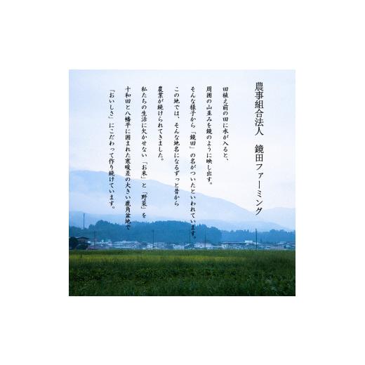 ふるさと納税 米 あきたこまち 秋田県 鹿角市 《先行予約》令和8年産 鏡田の米「あきたこまち」無洗米 10kg ●2026年11月上旬発送開始 鏡田ファーミング 単品 …_2
