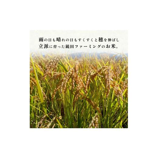 ふるさと納税 米 あきたこまち 秋田県 鹿角市 《先行予約》令和8年産 鏡田の米「あきたこまち」無洗米 10kg ●2026年11月上旬発送開始 鏡田ファーミング 単品 …_7