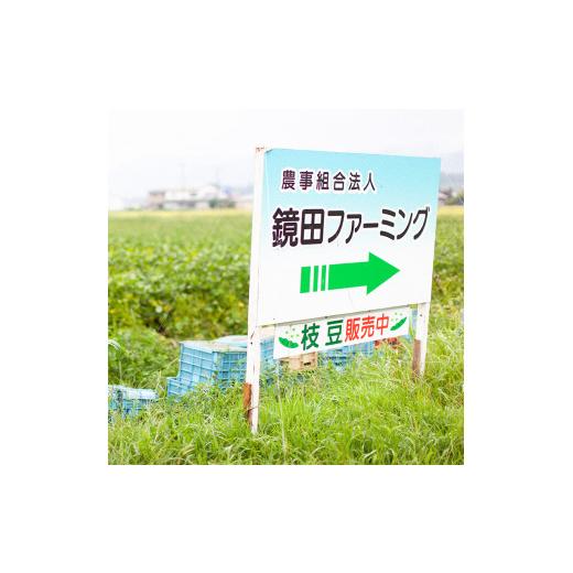 ふるさと納税 米 あきたこまち 秋田県 鹿角市 《先行予約》令和8年産 鏡田の米「あきたこまち」無洗米 10kg ●2026年11月上旬発送開始 鏡田ファーミング 単品 …_8