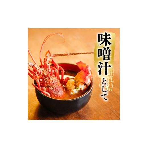 本日価格！！ ふるさと納税 徳島県 海陽町 先行予約 箱詰め伊勢海老サイズおまかせ大セット（約５．０kg） 伊勢海老 活伊勢海老 約5kg サイズおまかせ 伊勢えび 伊勢エビ い… 【ZY2037056568】(71760円)