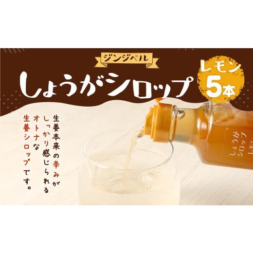 ふるさと納税 熊本県 合志市 しょうがシロップ レモン 約235g×5本 セット 生姜 レモン シロップ 調味料