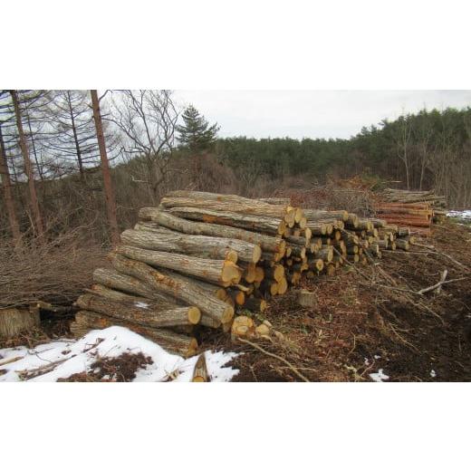 薪 広葉樹 ナラ100%