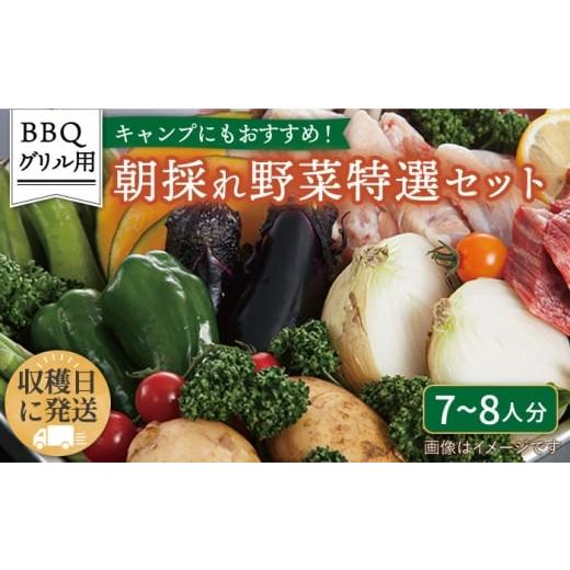 ふるさと納税 セット・詰合せ 福岡県 糸島市  キャンプにもおすすめ バーベキュー・グリル用朝採れ野菜特選セット 福岡県糸島産 (7〜8人分) 糸島市 ／ オーガ…_1