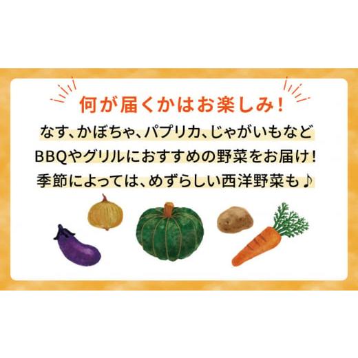 ふるさと納税 セット・詰合せ 福岡県 糸島市  キャンプにもおすすめ バーベキュー・グリル用朝採れ野菜特選セット 福岡県糸島産 (7〜8人分) 糸島市 ／ オーガ…_2