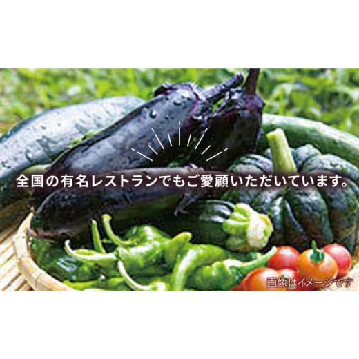 ふるさと納税 セット・詰合せ 福岡県 糸島市  キャンプにもおすすめ バーベキュー・グリル用朝採れ野菜特選セット 福岡県糸島産 (7〜8人分) 糸島市 ／ オーガ…_3