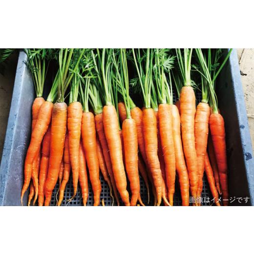 ふるさと納税 セット・詰合せ 福岡県 糸島市  キャンプにもおすすめ バーベキュー・グリル用朝採れ野菜特選セット 福岡県糸島産 (7〜8人分) 糸島市 ／ オーガ…_4