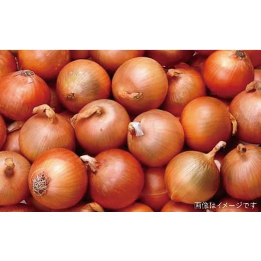 ふるさと納税 セット・詰合せ 福岡県 糸島市  キャンプにもおすすめ バーベキュー・グリル用朝採れ野菜特選セット 福岡県糸島産 (7〜8人分) 糸島市 ／ オーガ…_6