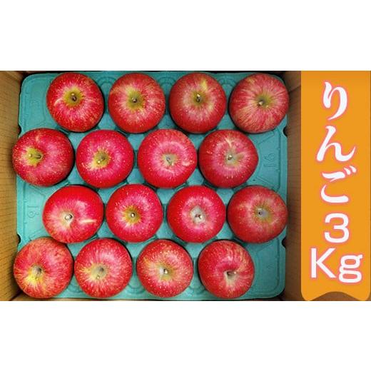 ふるさと納税 りんご 栃木県 矢板市 11月下旬より順次お届け 数量限定 矢板市産完熟りんご ふじ 3kg箱|リンゴ 林檎 フルーツ 果実 果物 スイーツ 産地直送 …