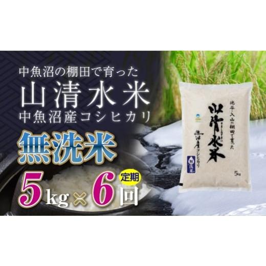 ふるさと納税 無洗米 新潟県 十日町市 定期便/全6回 無洗米5kg 新潟県魚沼産コシヒカリ「山清水米」十日町市 米