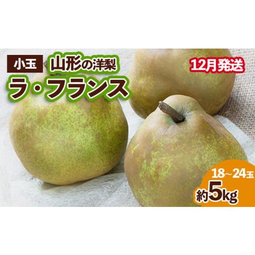 ふるさと納税 梨 山形県 山形市 山形の洋梨 ラフランス 優品 約5kg (小玉2L〜M/18〜24玉) 12月発送 FZ23-654 12月発送