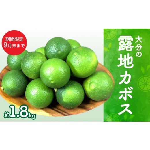 ふるさと納税 みかん・柑橘類 大分県 大分市 期間限定9月末まで 大分の露地カボス 約1.8kg 国産 大分県産 新鮮 生絞り カボス かぼす 種あり 果物 フルーツ …