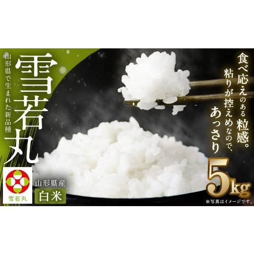 ふるさと納税 米 山形県 白鷹町 令和7年産 [白米] 雪若丸 5kg 1回のお届け 山形県産 精米 2025年11月上旬発送開始予定