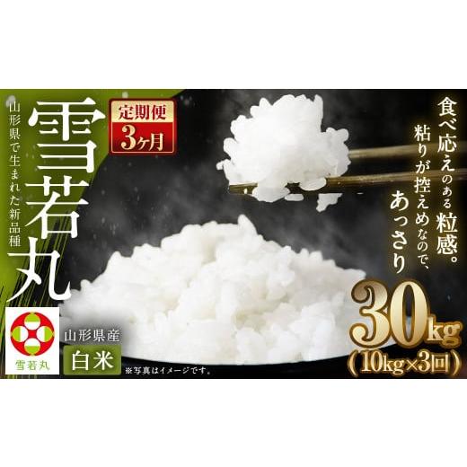 ふるさと納税 米 山形県 白鷹町 3ヶ月定期便 令和7年産新米 [白米] 雪若丸 10kg×3回 山形県産 精米 2025年11月上旬発送開始予定