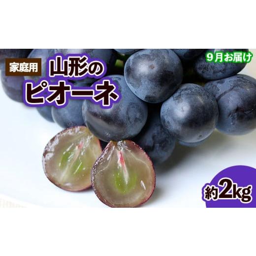 ふるさと納税 果物類 ぶどう 山形県 山形市 ご家庭用 山形のピオーネ 優品 約2kg(2〜6房) 9月お届け 令和8年産先行予約 FS23-645 くだもの 果物 フルーツ 山…