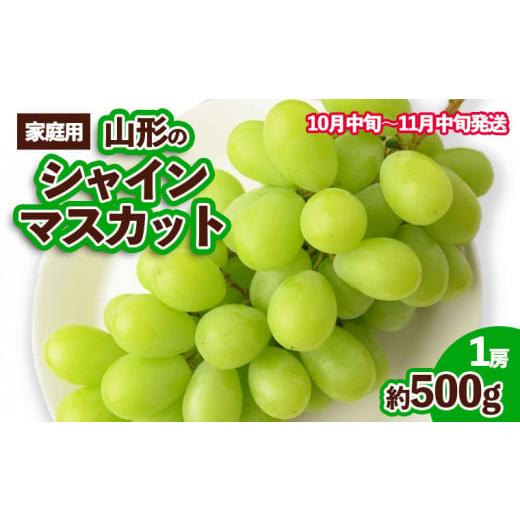 ふるさと納税 山形県 山形市 [ご家庭用]山形のシャインマスカット 優品 1房 約500g[10月中旬〜11月中旬お届け] [令和6年産先行予約]FS23-649 フルーツ く…