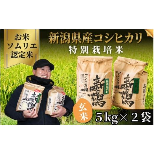 ふるさと納税 玄米 新潟県 五泉市 令和7年産 お米ソムリエのお米 特別栽培米コシヒカリ 玄米 10kg(5kg×2袋)五泉市四ヶ村産 米 お米 新潟県 五泉市 エバーグ…