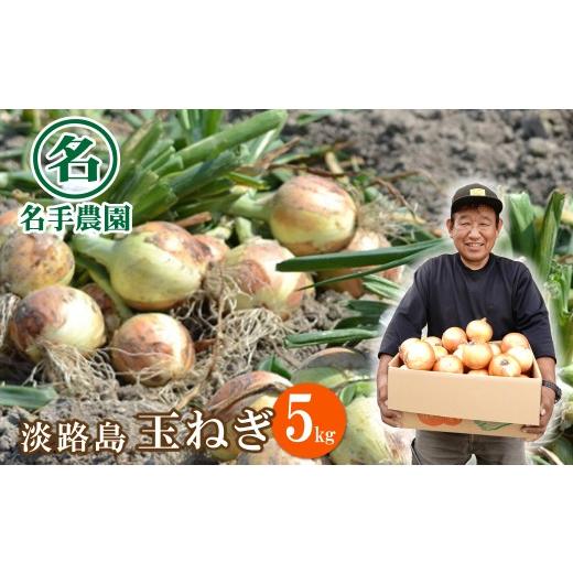 ふるさと納税 野菜類 玉ねぎ 兵庫県 淡路市 名手農園の淡路島特産玉ねぎ 5kg たまねぎ 野菜 5kg