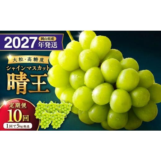 ふるさと納税 ぶどう マスカット 岡山県 備前市 2027年発送分・先行予約開始 定期便 岡山県産シャインマスカット「晴王」 秀品 大房(約5kg・5〜9房目安)…