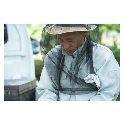 ふるさと納税 加工品等 はちみつ 鳥取県 三朝町 はちみつ 井之上養蜂場 桃源郷クリ蜂蜜 三朝町産 600g × 1本｜鳥取 はちみつ ハチミツ 蜂蜜 国産 送料無料 鳥…の画像