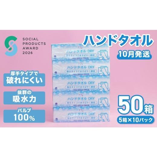 ふるさと納税 雑貨・日用品 岩手県 北上市 10月発送 工場直送 [ソーシャルプロダクツ賞受賞] [SPA受賞] ナクレ ペーパーハンドタオル 50箱 ペーパータオル…