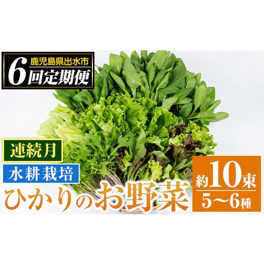ふるさと納税 セット・詰合せ 鹿児島県 出水市 i678-B 定期便・計6回(連続月) ひかりのお野菜(約10束・5〜6種) 野菜 やさい 葉物 旬 定期便 ほうれん草 水菜 …
