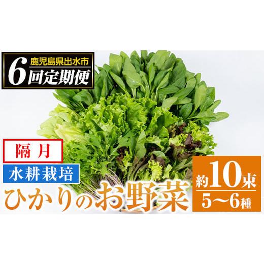 ふるさと納税 セット・詰合せ 鹿児島県 出水市 i678-A 定期便・計6回(隔月) ひかりのお野菜(約10束・5〜6種) 野菜 やさい 葉物 旬 定期便 ほうれん草 水菜 チ…