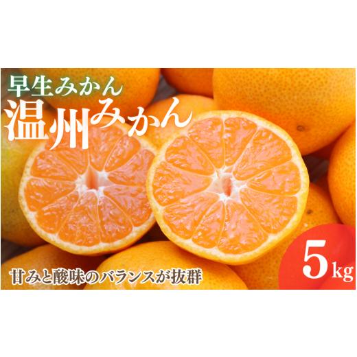 ふるさと納税 果物類 みかん 和歌山県 田辺市 2026年分先行予約 早生みかん 温州みかん 5kg 11月中旬以降発送予定 / 和歌山県 田辺市 みかん 早生みかん う…