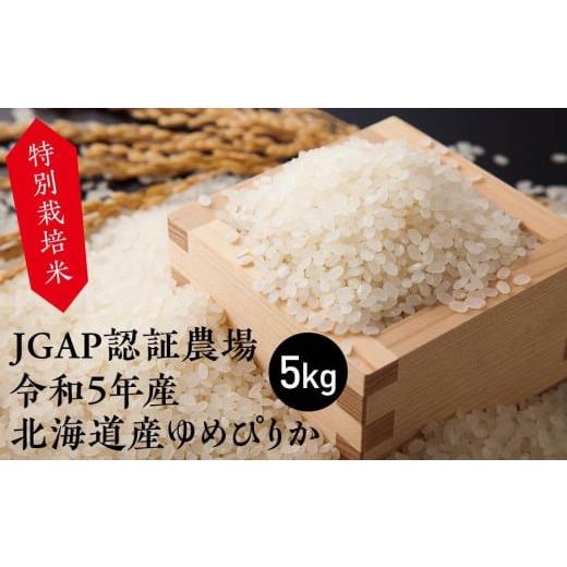ふるさと納税 北海道 長沼町 特別栽培米 JGAP認証農場 令和5年産北海道産ゆめぴりか 5kg