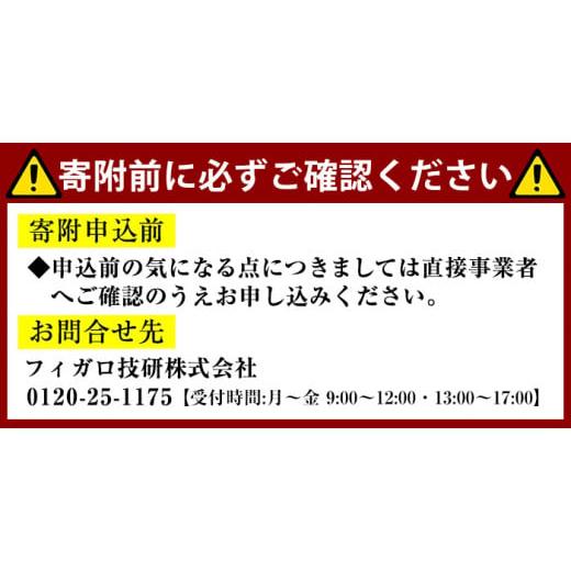 ふるさと納税 電化製品 大阪府 箕面市 デジタルアルコール検知器FALC-11フーゴプロ(PC管理用ソフト付き・通信キット付き) m48-01 フィガロ技研の画像