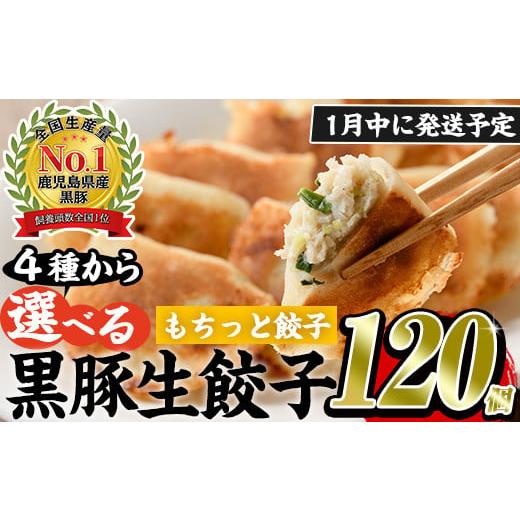 ふるさと納税 餃子 鹿児島県 日置市 No.429-m-m01 2026年1月中に発送予定 鹿児島黒豚使用の黒豚もちっと餃子(計120個・15個入り×8パック)国産 九州産 ぎょう…