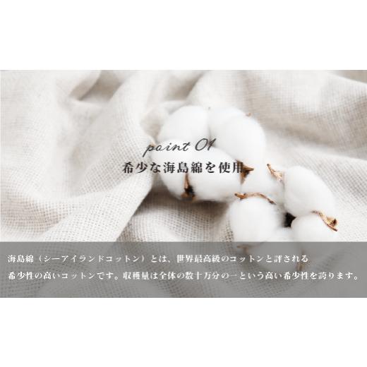 ふるさと納税 タオル・寝具 セット 愛媛県 今治市 海島綿オフ白BT・FTセット（シーアイランドコットン、タグ付） I001060の画像