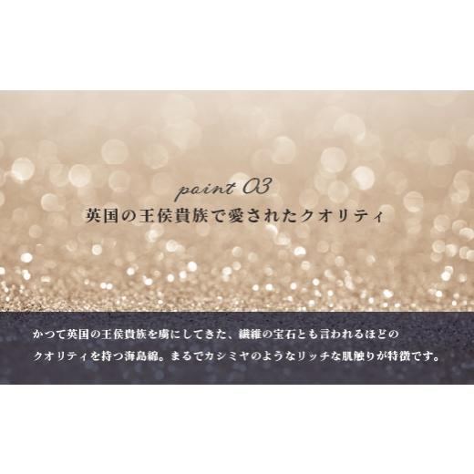 ふるさと納税 タオル・寝具 セット 愛媛県 今治市 海島綿オフ白BT・FTセット（シーアイランドコットン、タグ付） I001060の画像