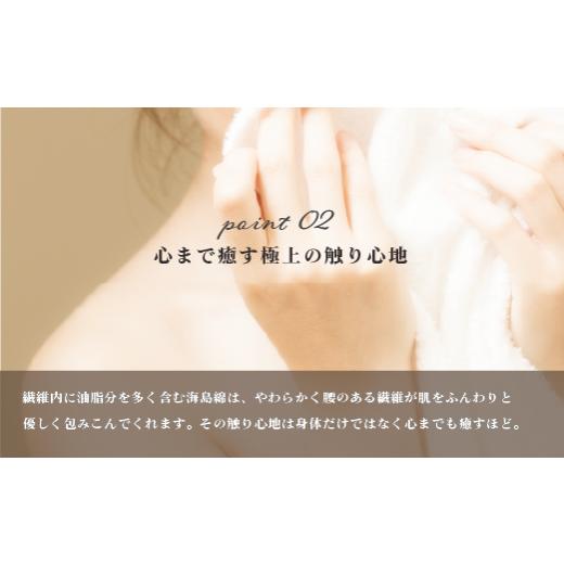 ふるさと納税 タオル・寝具 フェイスタオル 愛媛県 今治市 海島綿オフ白フェイスタオル（シーアイランドコットン、タグ付） I001040の画像