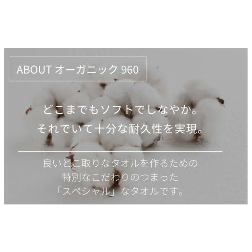 ふるさと納税 愛媛県 今治市 オーガニック 960 フェイスタオル ２枚セット （ベージュ） イケウチオーガニック [I000870BE]｜furusatochoice｜04