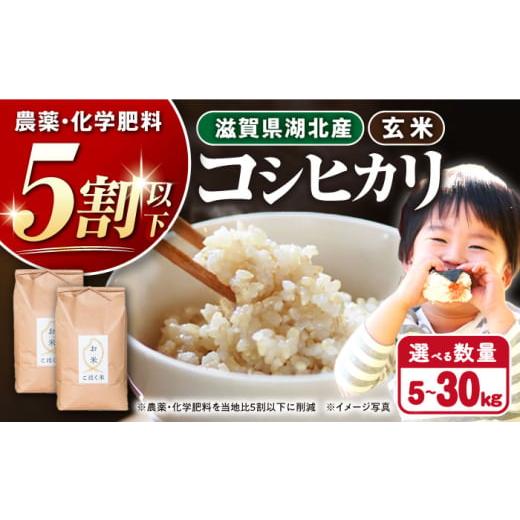 ふるさと納税 米 コシヒカリ 滋賀県 長浜市 令和7年産新米 湖北産 コシヒカリ 10kg (玄米) 長浜市/株式会社エース物産 AQAK003 こしひかり 米 10kg お米 ご…