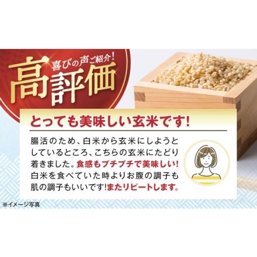 玄米】令和7年産 茨城県産 お米 こしひかり 30kg | 茨城県つくばみらい 