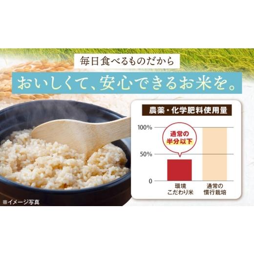 令和7年度産 茨城県産 コシヒカリ 玄米 30kg 業務用 ごはん おにぎり 米・