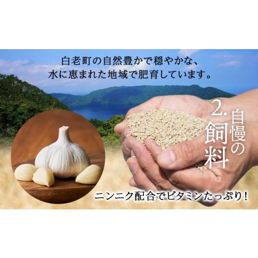 ふるさと納税 北海道産 白老豚 ロース とんかつ用 100g×12枚 北海道